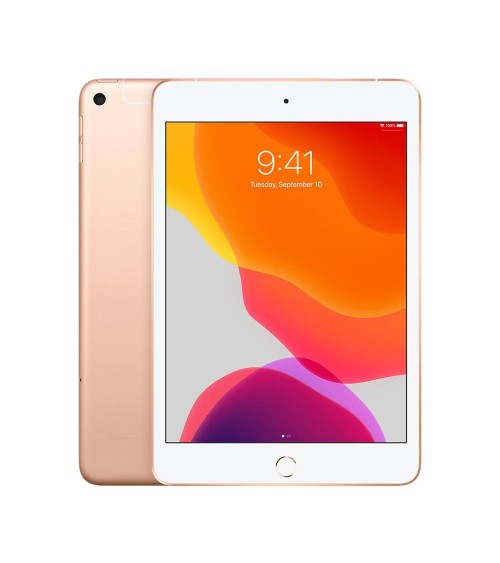 iPad mini 5