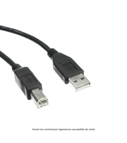 Câble USB A vers USB B 3m pour imprimantes reconditionné | Ma Fabrik