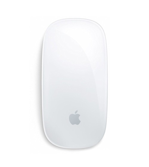 Magic Mouse 1
